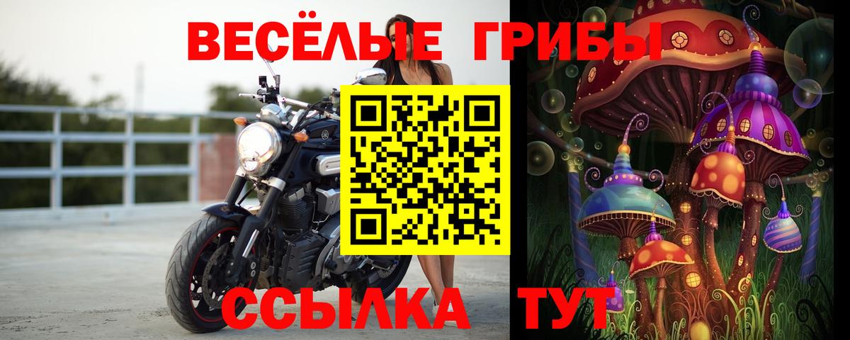 как найти закладки  Вход с VPN  Галлюциногенные грибы прущие грибы  Саров  Псилоцибиновые грибы Psilocybe 
